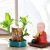 Platone-7 (PACK OF 1) Brazilian Lucky Bamboo Live Plant Good Luck Plant Lucky Brazil Wood Plant Healthy Indoor Feng Shui Plant For Home Decor (Brazilian Lucky Bamboo) WITHOUT POT